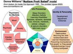 Fruit Salad Analogy Copyright D.Williams 