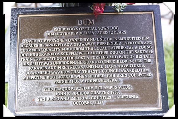 The Brother Dogs Project, San Diego California