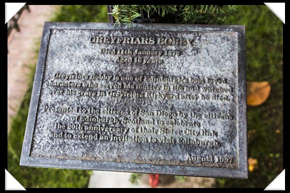 The Brother Dogs Project, San Diego California